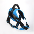 /msite/products/detail/productid/60131975/id/1037863.html